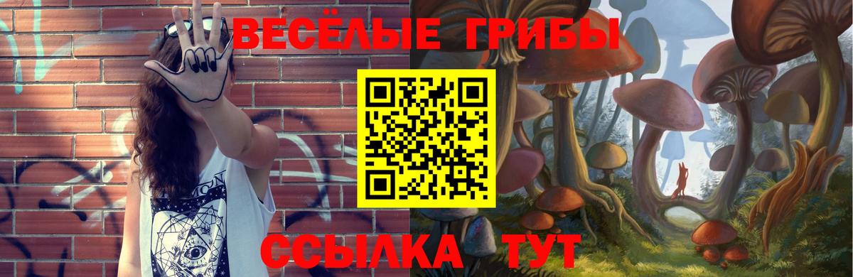 Псилоцибиновые грибы Psilocybine cubensis Шарыпово
